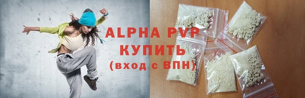 ECSTASY Алзамай