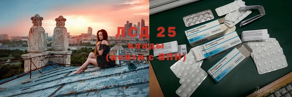 ECSTASY Алзамай