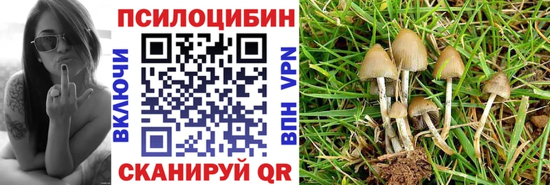 закладки  Сольцы  Псилоцибиновые грибы GOLDEN TEACHER 
